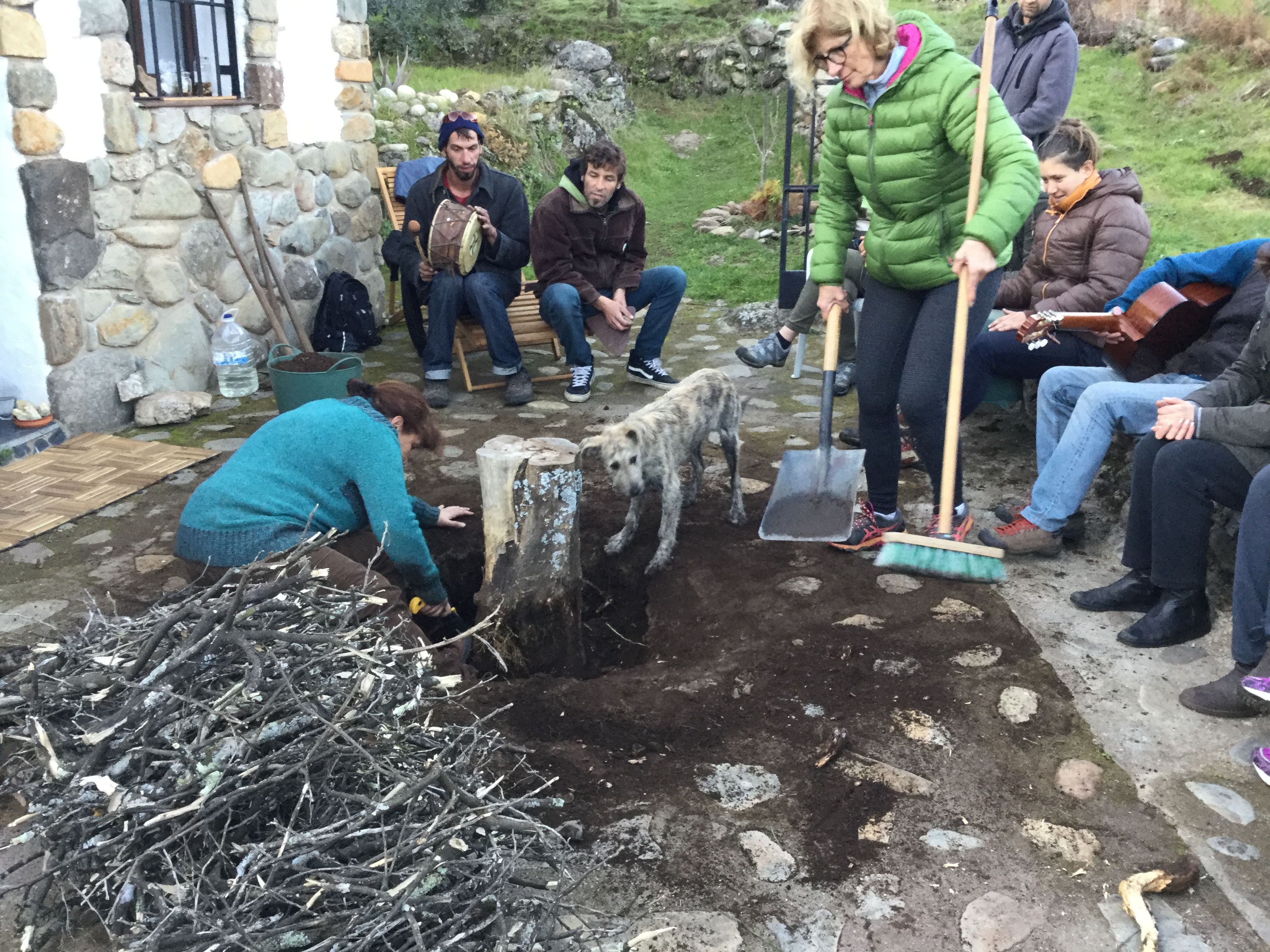 cuidando arboles en grupo en acebo